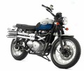 Thumbnail TRIUMPH SCRAMBLER 2006 ONWARDS BIKE WORKSHOP SERVICE MANUAL Thumbnail TRIUMPH SCRAMBLER 2006 ONWARDS BIKE WORKSHOP SERVICE MANUAL