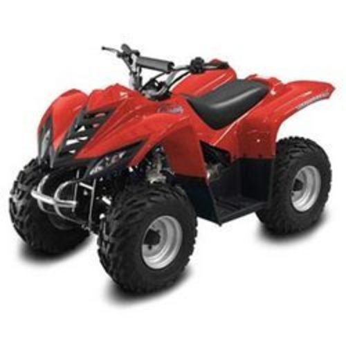 Product picture CROSSRUNNER ATV250 WORKSHOP SERVICE REPAIR MANUAL